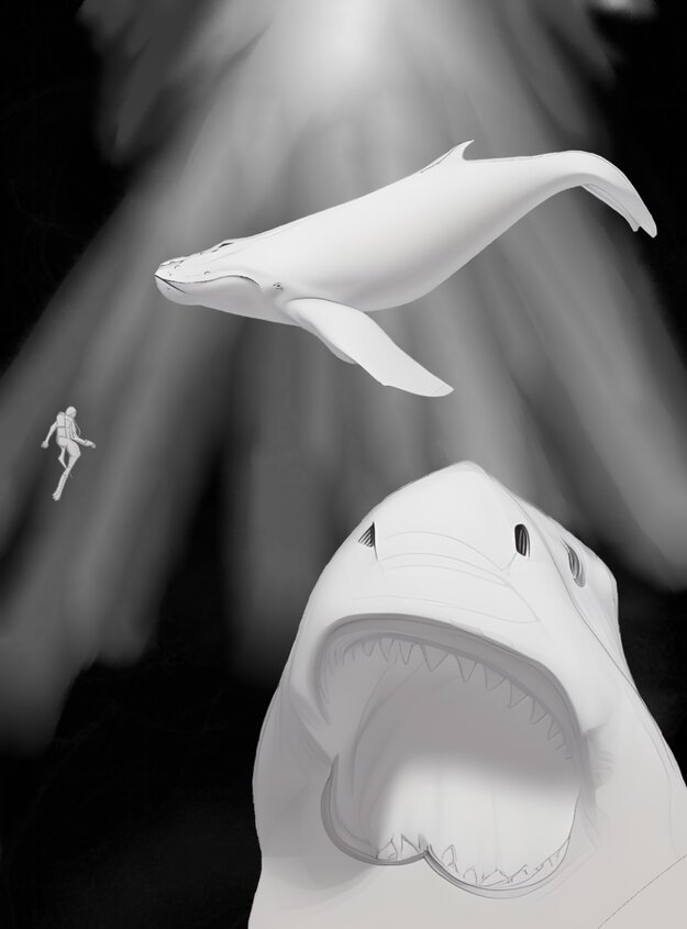 Flores_Fatima_Bigscale 2 (1)